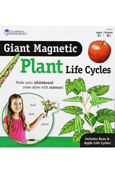 Learning Resources Ciclul vietii plantei - set magnetic