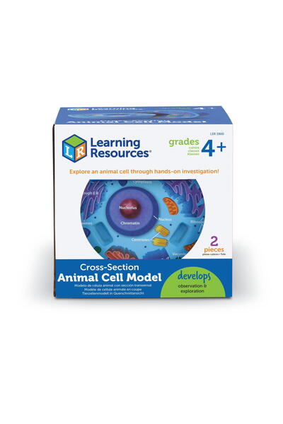 Learning Resources Секция с животински клетки