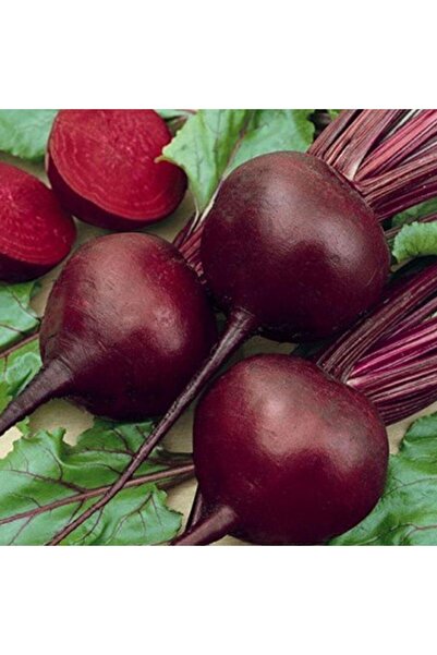 SümerTohum 25 Adet Yerli Doğal Kırmızı Pancar Tohumu