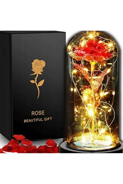 OEM Eternal Rose in Glass Dome with LED Light