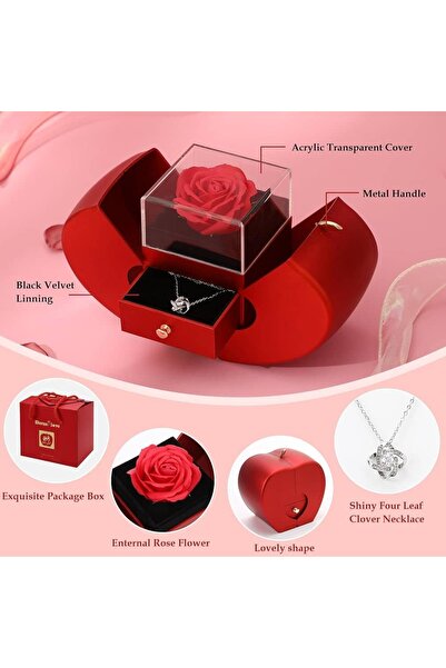 By Rozane Unique Gift Set with Cryogenic Rose and Jewelry Drawer