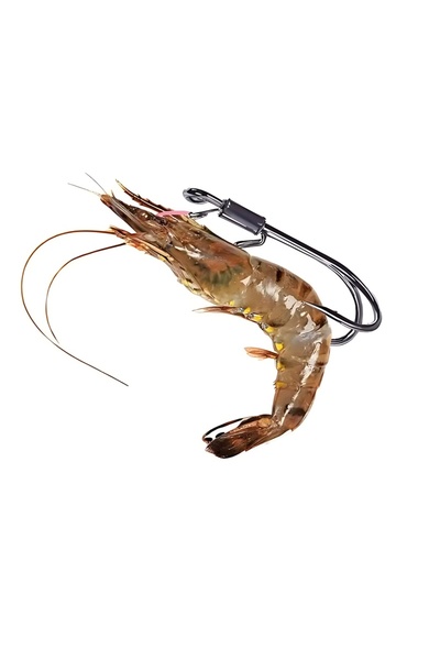 Seoul 5 Adet,No:1,İkili Canlı Karides-Teke İğnesi,İğne Genişlik 19.8 mm,İğne ...