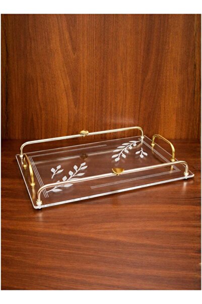 ALQANNAS Modern Rectangular Acrylic Serving Tray with Gold Stainless Steel Ha...