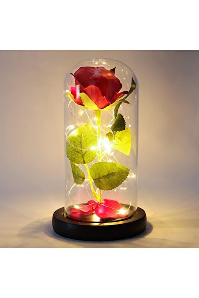 OEM Eternal Rose with LED in Glass Dome