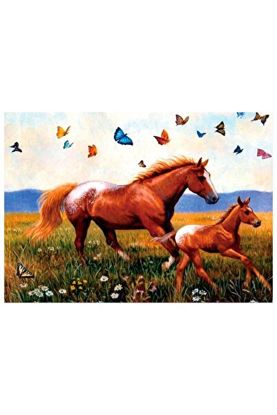 DUCK HOBY 50x40 Boncuklu Taş Mozaik Elmas Goblen Pano Tablo Resim Boncuk Puzz...