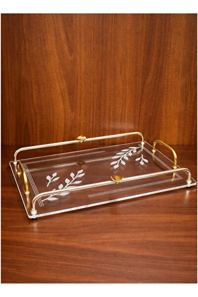 ALQANNAS Modern Rectangular Acrylic Serving Tray with Gold Stainless Steel Ha...