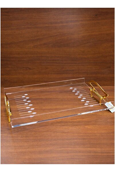 ALQANNAS Modern Rectangular Acrylic Serving Tray with Gold Stainless Steel Ha...