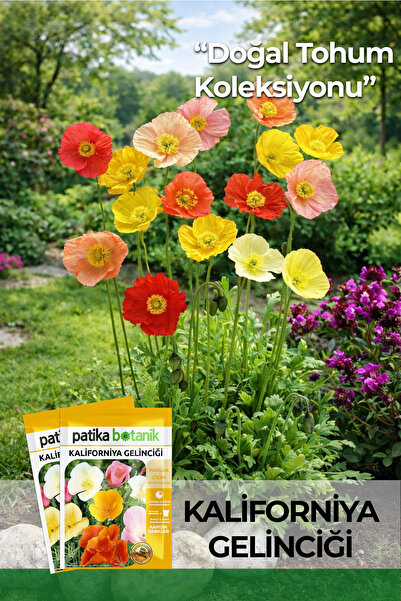 Patika Botanik 100 Adet Kaliforniya Gelinciği Çiçek Tohumu (Eschscholzia californica)