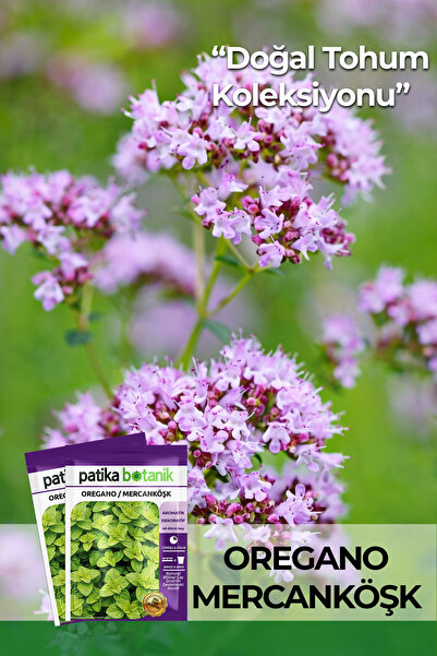 Patika Botanik 100 Adet Oregano / Mercanköşk Bitkisi Tohumu (Origanum vulgare)