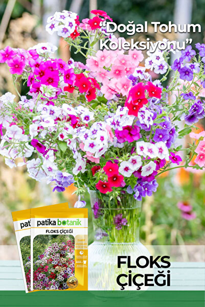 Patika Botanik 100 Adet Floks Çiçeği Tohumu (Phlox Drummondii Grandiflora)