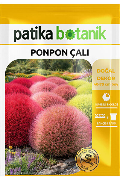 Patika Botanik 50 Adet Ponpon Çalı Çiçek Tohumu