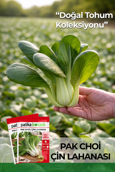 Patika Botanik 100 Adet Pak Choi / Çin Lahanası Tohumu