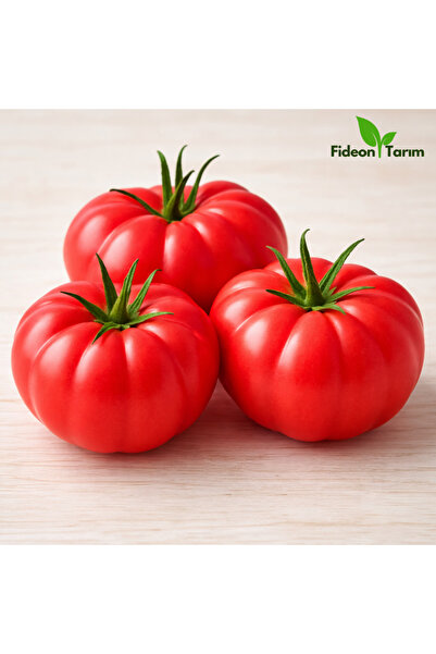 Fideon Evde Bahçe Başlangıç Fide Seti | Domates – Biber – Salatalık | 3’lü Se...