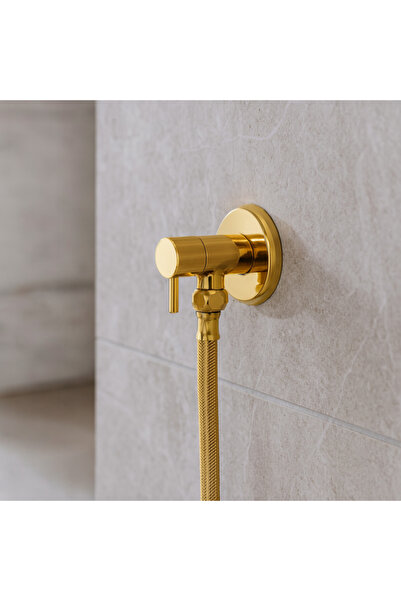 banyosepeti Gold Wall-Mounted Bidet Faucet and Flexible Hose Set Aurelio – Br...