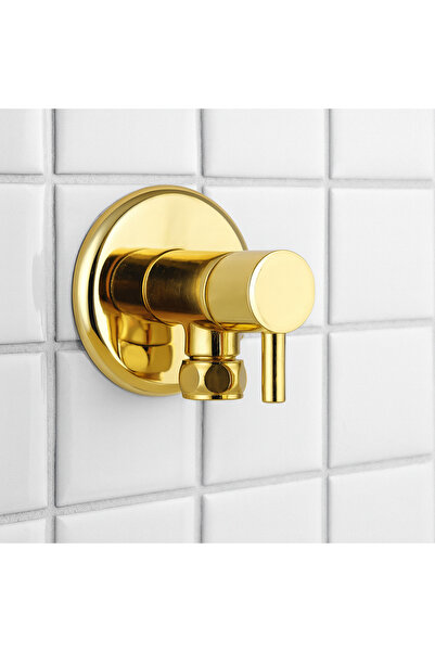 banyosepeti Aurelio Altın Gold Wall Mounted Bidet Faucet – Brass