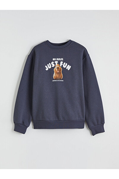 LC Waikiki Rmz Gi̇yi̇m Farkiyla Printed Girls' Thick Sweatshirt