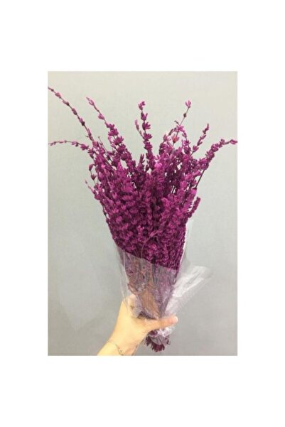 Mimoza Kuru Çiçek Fuşya Lavanta Demeti Buketi Şoklanmış 40-50 cm