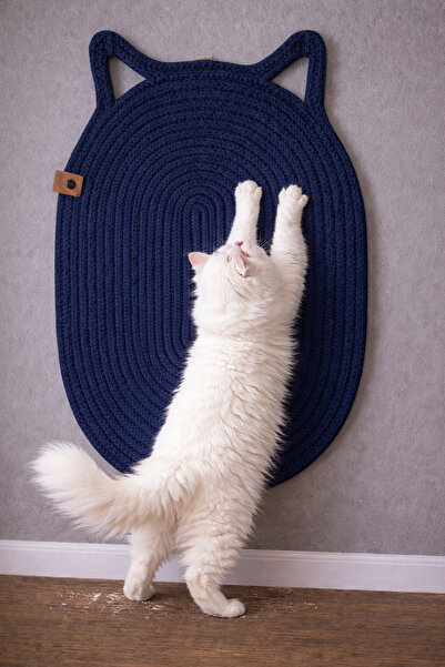 Naspar 100% Organic Thread Sewn Cat Scratching Mat |   Natural, Non-Disassemb...