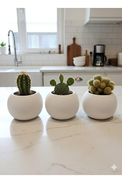 Alba Home Decor Dekoratif yuvarlak saksı Seti