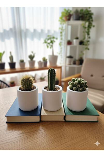 Alba Home Decor Dekoratif mini saksı Seti