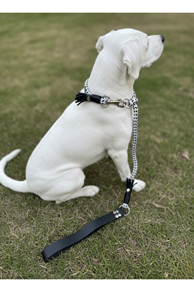 balkonda Dog Walking Strap & Collar Single Product 12 cm Diameter Skotocan Rope