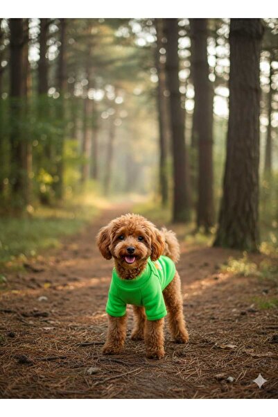 Peti Tailor Köpek Sweatshirt Boğazlı Yeşil Ice Cream Kışlık Kedi Kıyafeti