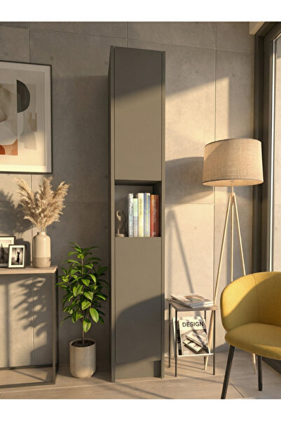 YETİ MOBİLYA Flat30 Kitaplık 2 Kapaklı Kütüphane Çok Amaçlı Dolap Antrasit