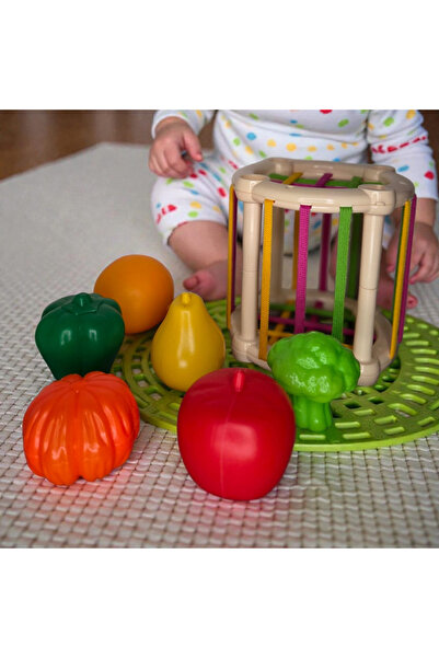 Educational Toys Sensory Cube with Elastic Bands – Fruit and Vegetable Sorter