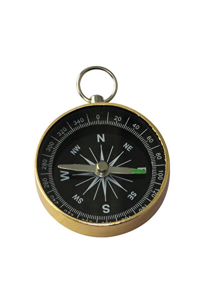 ForWhat Mini Golden Aluminum Stainless Directional Compass for Office Home Of...