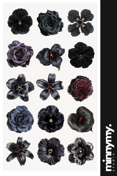 Minnymy Flower Collection Sticker, Çıkartma, Ajanda, Günlük, Planlayıcı, Bull...