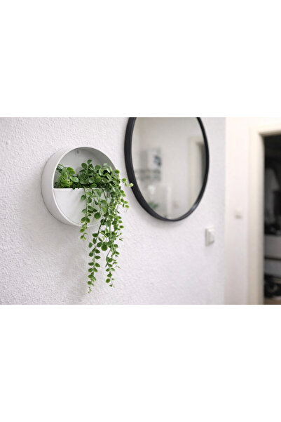 Neptune3D Duvara Monte Modern Vazo | Bahar Duvar Dekoru |