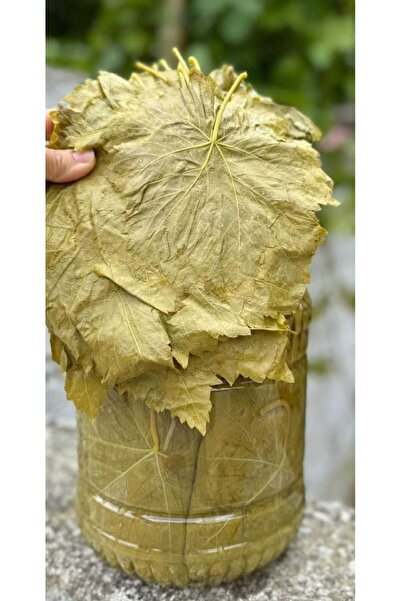 Antep sergi baharatları Salamura Alaşehir Yaprağı İnce Damarsız 3.50 kg