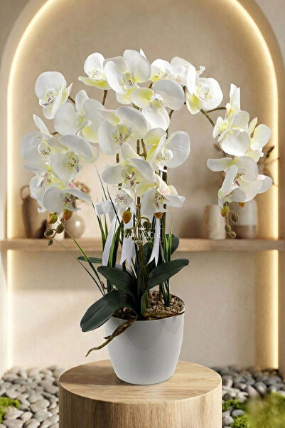 Yapay Çiçek Deposu Dekoratif 3'lüTropic Rüya Yapay Islak Orkide Tanzimi Beyaz...