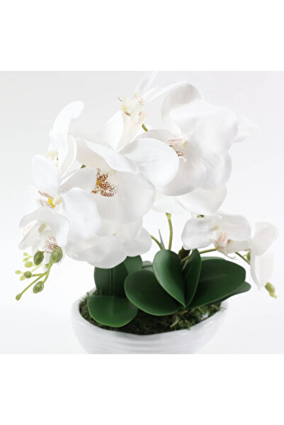 OEM Artificial flower plant MFL-455, orchid in pot, plastic, white, 50 cm