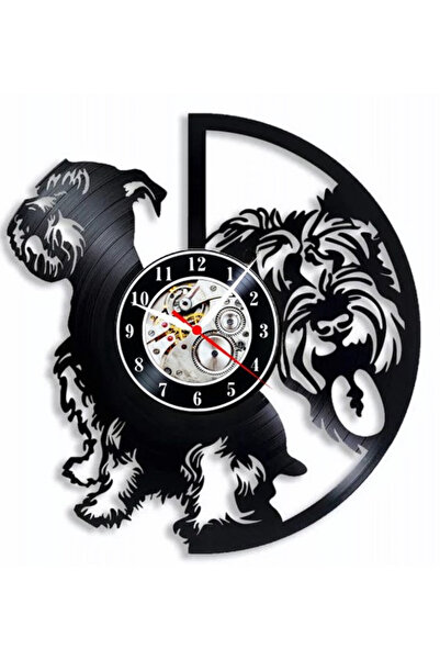 OEM Ceas de perete SCHNAUTZER