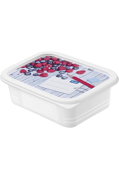 Rothoplast Set of 4 freezer containers, with lid, 0.5 L