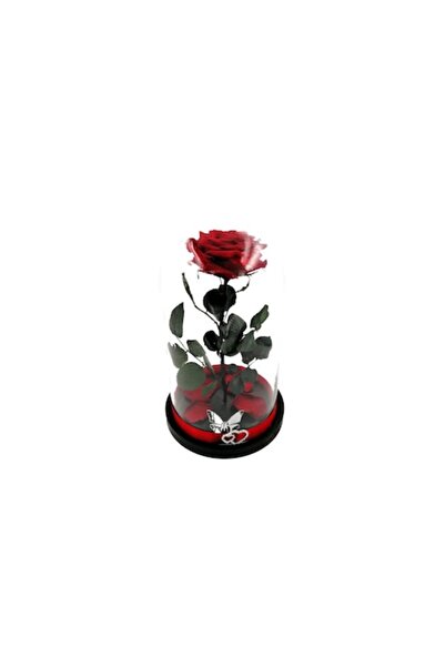 OEM Large Cryogenated Rose on Petal Bed in Glass Dome