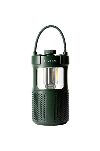 Pure 252584, 20 W, Bluetooth 5.3, Verde
