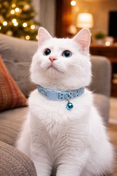 dzmerc طوق للقطط والكلاب