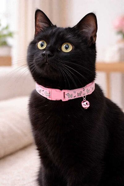 dzmerc Kedi Köpek Boyun Tasması