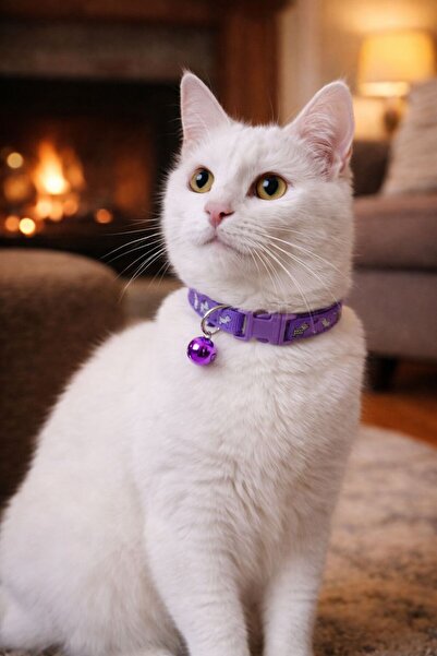 dzmerc طوق للقطط والكلاب