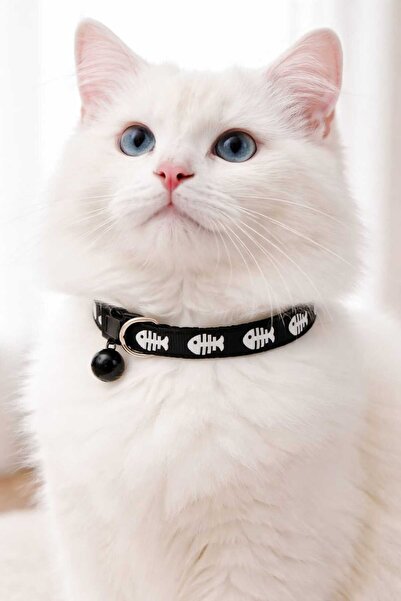 dzmerc طوق للقطط والكلاب