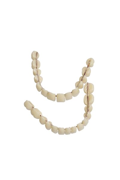 Choice 28 pcs False Teeth GULPOOE 28 Pcs/Bag Resin Denture False Teeth Easy T...