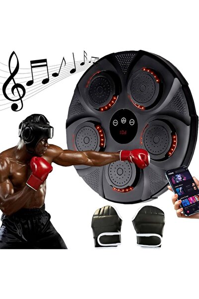 NO NAME DISC DE ANTRENAMENT BOX