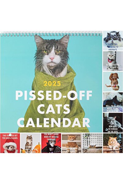 Jognee Ημερολόγιο Τοίχου 2025, Αστείες Θυμωμένες Γάτες, Διακόσμηση Τοίχου, Δώ...