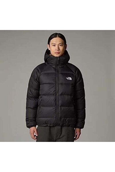 THE NORTH FACE M Hydrenalıte Down Hoodıe Erkek Mont NF0A5GIEJK31