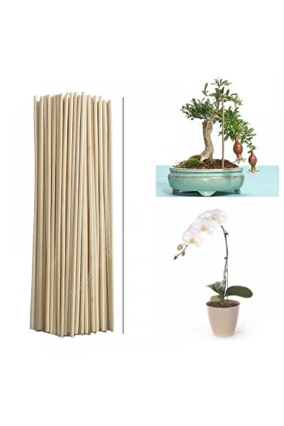 Gürçay Hırdavat Saksı Fidan Çiçek Bitki Çubuğu Ahşap 100cm - (10 Adet)