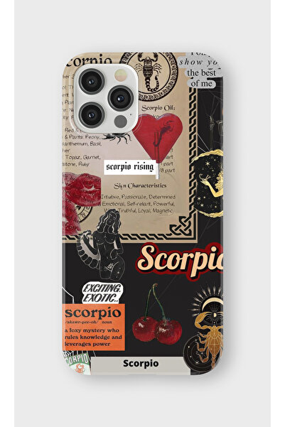 lelia حافظة هاتف شفافة مطبوعة متوافقة مع هاتف iPhone 12 Pro Max |   مجموعة: ز...