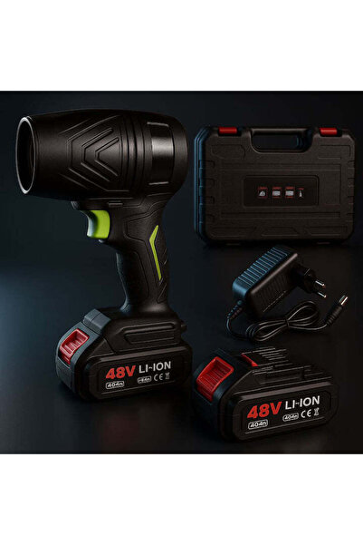 NO BRAND Suflanta CAR DRY Multifunctionala Portabila 48v, 2 acumulatori inclusi