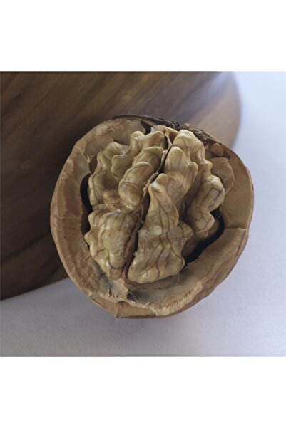 Bahçem Fidancılık Fernor Ceviz Fidanı